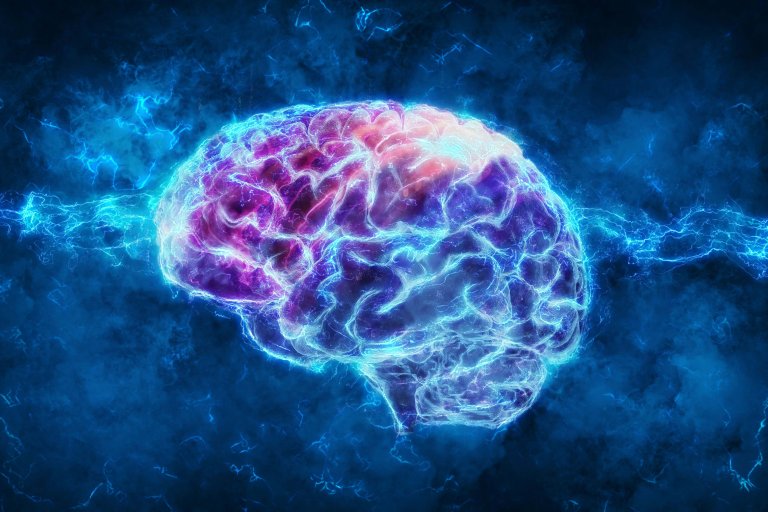 כוח המוח - rendering-of-a-brain