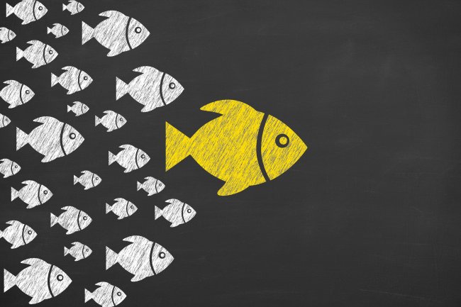 ללמוד כמו דג במים - leadership-concepts